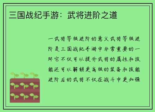 三国战纪手游：武将进阶之道
